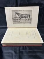 'The Horse Its Origin and Development' book by Colonel R F Meysey-Thompson