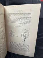 'The Horse Its Origin and Development' book by Colonel R F Meysey-Thompson