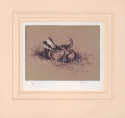 'The Joy of Spring' Ex-Display Badger Print by Mick Cawston