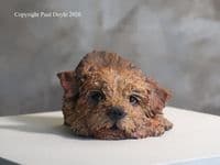 'The Look of Love' Original Norfolk Terrier Ceramic Sculpture by Paul Doyle