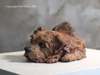 'The Look of Love' Original Norfolk Terrier Ceramic Sculpture by Paul Doyle