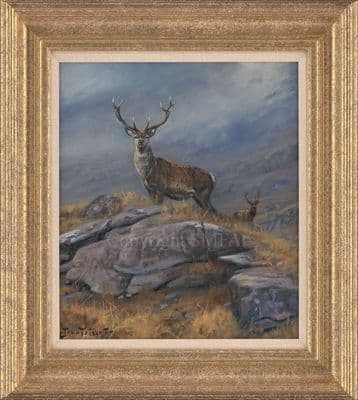 'The Lookout' Original Stag Oil Painting by John Trickett