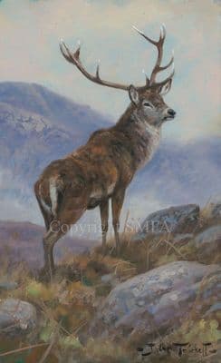 'The Sentinel' Original Stag Painting by John Trickett