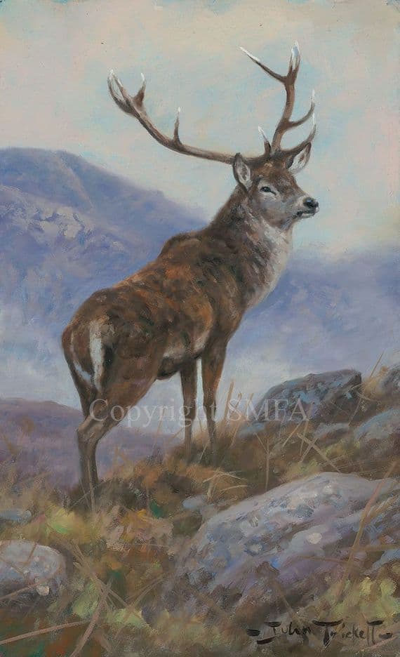 'The Sentinel' Original Stag Painting by John Trickett