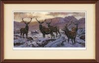 'The Stag Weekend' Red Deer Stag  Print by John Trickett