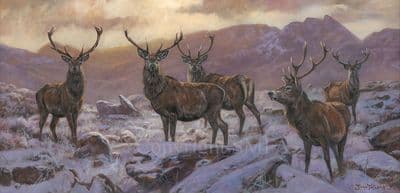 'The Stag Weekend' Red Deer Stag  Print by John Trickett
