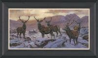 'The Stag Weekend' Red Deer Stag  Print by John Trickett