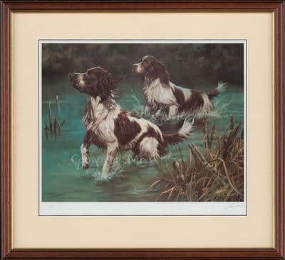 'The Waterboys' Ex-Display Springer Spaniel Print by John Trickett