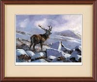 'The Winter King' Limited Edition Stag Print by John Trickett