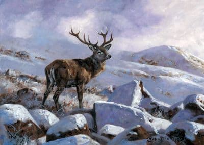 'The Winter King' Limited Edition Stag Print by John Trickett