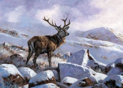'The Winter King' Stag Blank Greetings Card by John Trickett C717