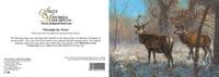 'Through the Trees' Stag Christmas Cards by John Trickett C740x