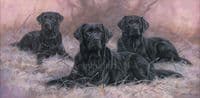 'Time Off For Good Behavior' Original Black Labrador painting by John Trickett