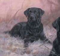'Time Off For Good Behavior' Original Black Labrador painting by John Trickett