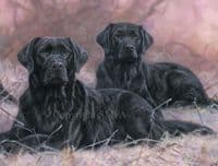 'Time Off for Good Behaviour' Black labrador Print by John Trickett