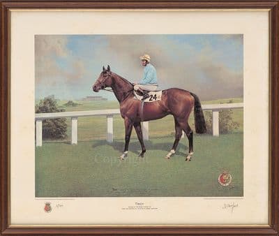 'Troy' Ex-Display Horse Racing Print by Susan Crawford