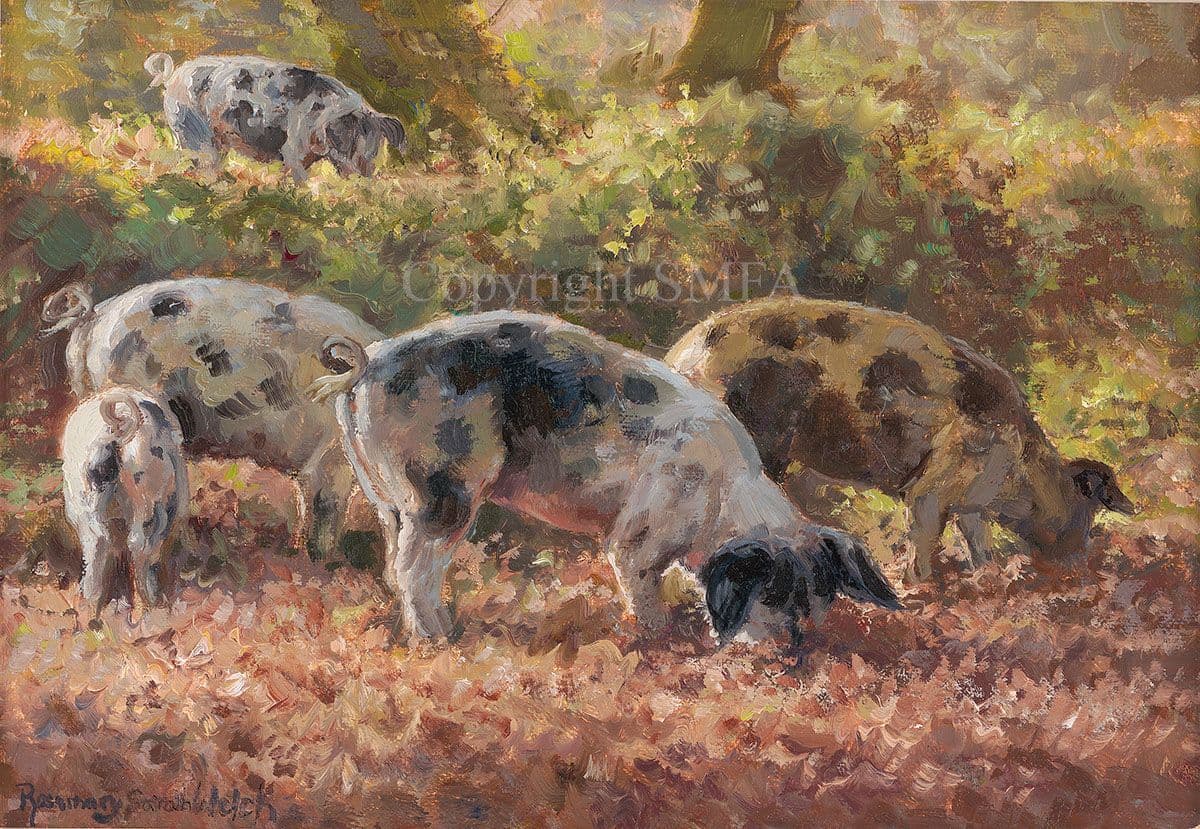 Truffling Original Pig Painting by Rosemary Sarah Welch