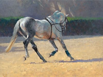 'Viva Espania' Spanish Horse Print by Malcolm Coward