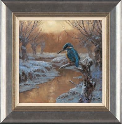 'Watching and Waiting' Original Kingfisher Painting by John Trickett