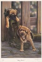 'Welly Babies' Ex-Display Mounted Terrier Print by Paul Doyle