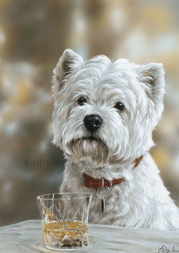 'West Highland Malt' Westie Blank Greetings card by Paul Doyle C569x