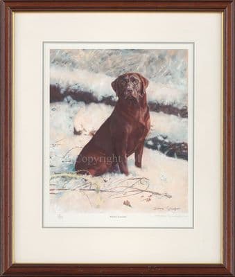 'White Chocolate' Ex-Display Framed Chocolate Labrador Print by Debbie Gillingham