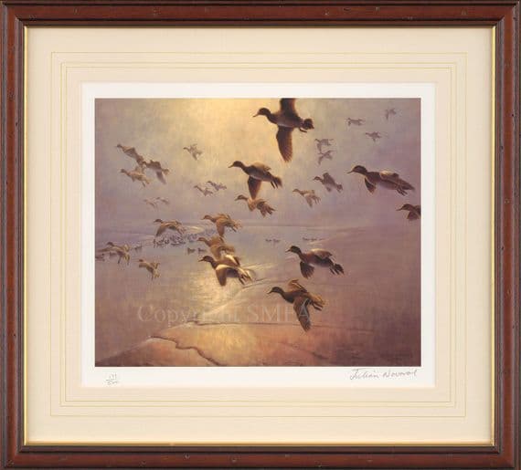 'Wigeon Dropping into the Creek' Ex-Display Wildfowl Print by Julian Novorol