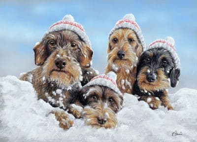 'Wired' Open Edition Dachshund Print by Paul Doyle