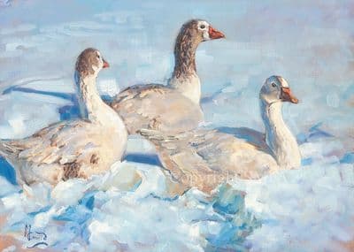 'Wither Shall I Wander' Blank Goose Greetings Card by Malcolm Coward
