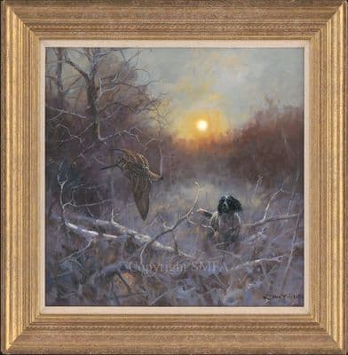 'Woodcock Away' Original Springer Spaniel painting by John Trickett