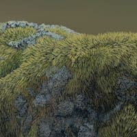 'Woodcock Wall' Original Painting by Ben Waddams