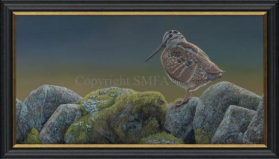 'Woodcock Wall' Original Painting by Ben Waddams
