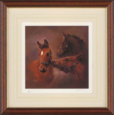 'Youth' Ex-Display Print of Foals Heads by Jaqueline Stanhope