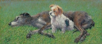 11. SOLD 'Scrufts' Original Dog Painting by Malcolm Coward
