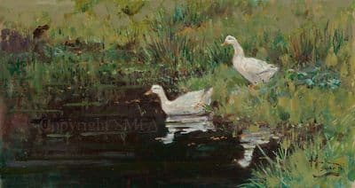 13. 'A Quick Dip' Original Oil Painting by Malcolm Coward