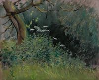 18. 'Cow Parsley' Original Landscape painting by Malcolm Coward