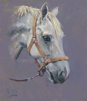 25. SOLD  'The Yellow Headcollar' Original Horse Painting by Malcolm Coward