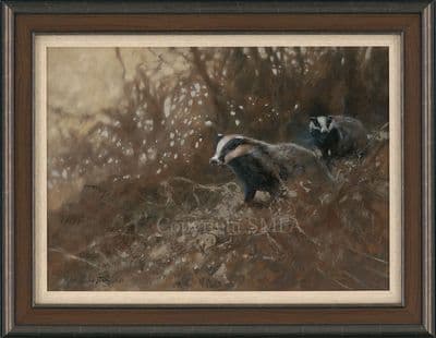 31. 'The Foraging Committee' Original Badger Painting by Mick Cawston