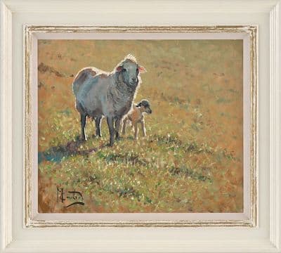 39. 'Feeling Sheepish' Original Sheep painting by Malcolm Coward