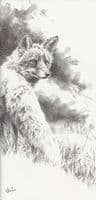 47. 'Charlie Boy' Original Charcoal Drawing on Canvas