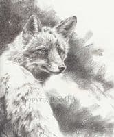 47. 'Charlie Boy' Original Charcoal Drawing on Canvas