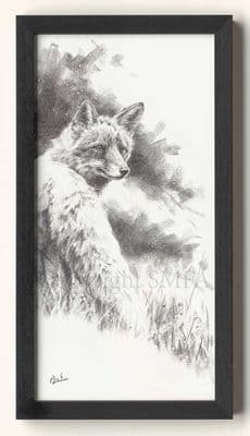 47. 'Charlie Boy' Original Charcoal Drawing on Canvas