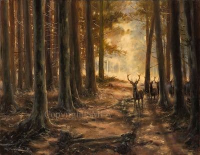 53. 'Into The Clearing' Original Stag Painting by Mick Cawston