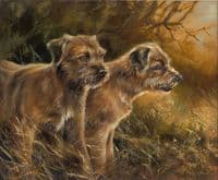 64. SOLD 'Borders' Original Border Terrier Painting by Mick Cawston