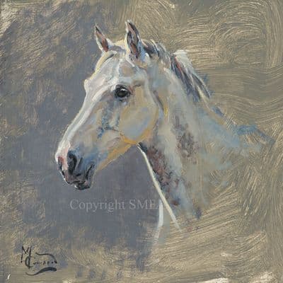 8. SOLD 'Grey Head' Original Horse Painting by Malcolm Coward