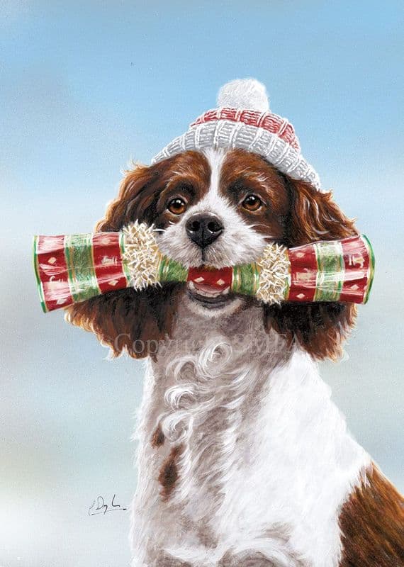 A Cracking Retrieve' Springer Spaniel Christmas Cards C712x
