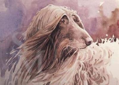 Afghan Hound Blank Greetings Card 'Afghan Hound' by Mick Cawston  B88