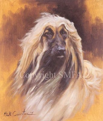 Afghan  Limited Edition Print 'Afghan Head Study' by Mick Cawston