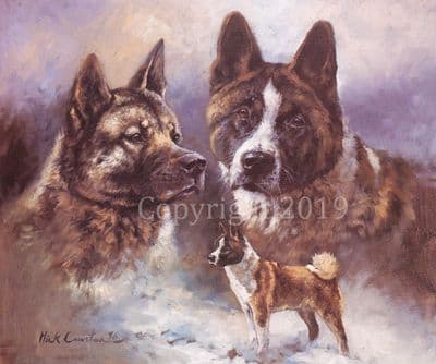 Akita Limited Edition Print 'The Akita' by Mick Cawston