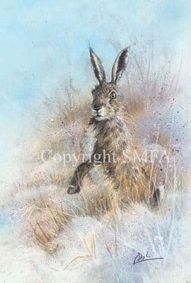 Alert' Original Mixed Media Wildlife Painting of a Hare